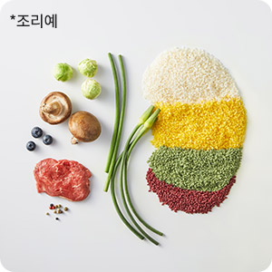 투석식단