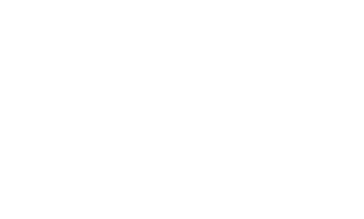 건강식단