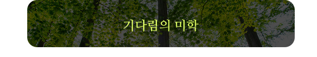 기다림의 미학