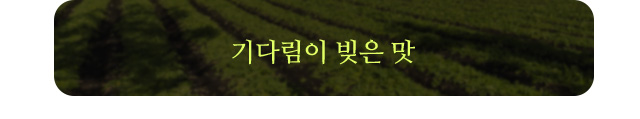 기다림이 빚은 맛