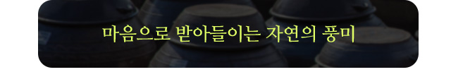 마음으로 받아들이는 자연의 풍미