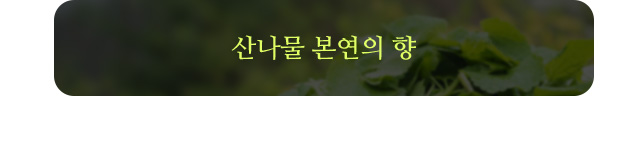 산나물 본연의 향