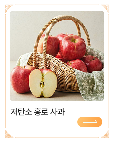 저탄소 사과(홍로)