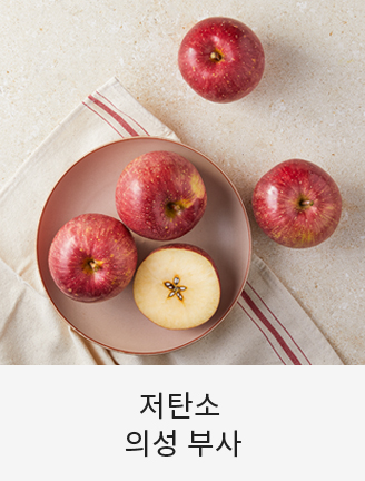 저탄소 의성 부사