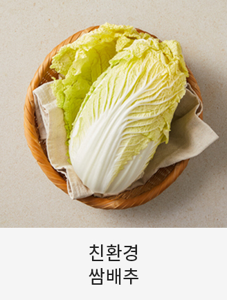 친환경 쌈배추