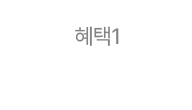 혜택1 - 990원 혜택