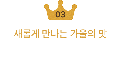 가을 신상 TOP 11